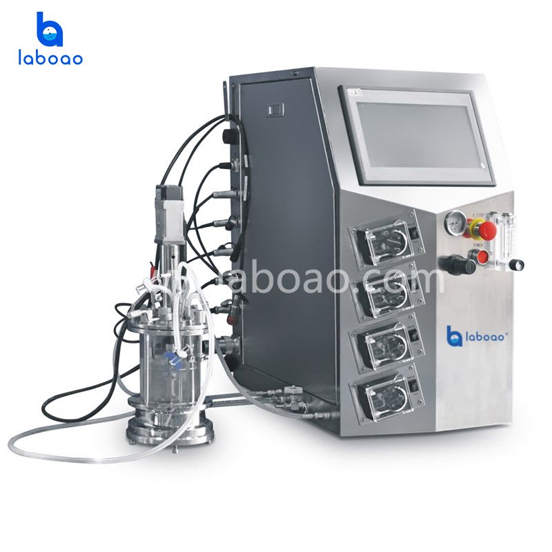 0.1L-1L Mini-bioreactor