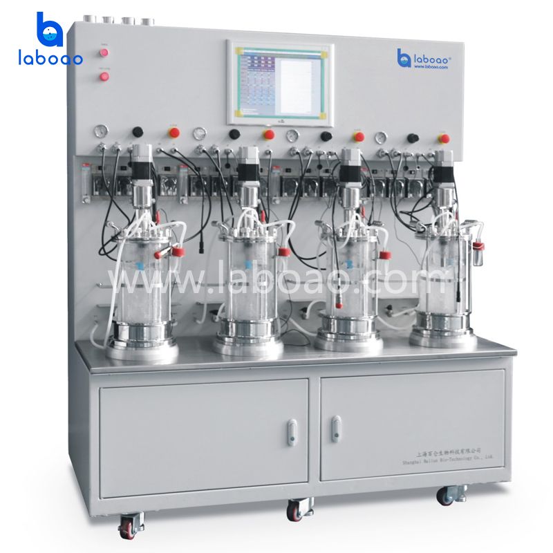 Off-site sterilisatie Vier samengevoegde glazen bioreactor