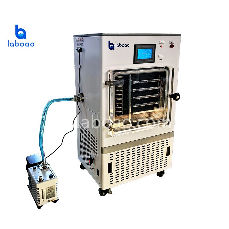 0.6㎡ elektrische verwarming vriesdroger voor kruiden