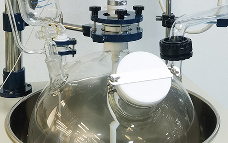 50L enkellaagse glazen reactor detail - Totaal 6 poorten op de bovenkant van het ketellichaam.