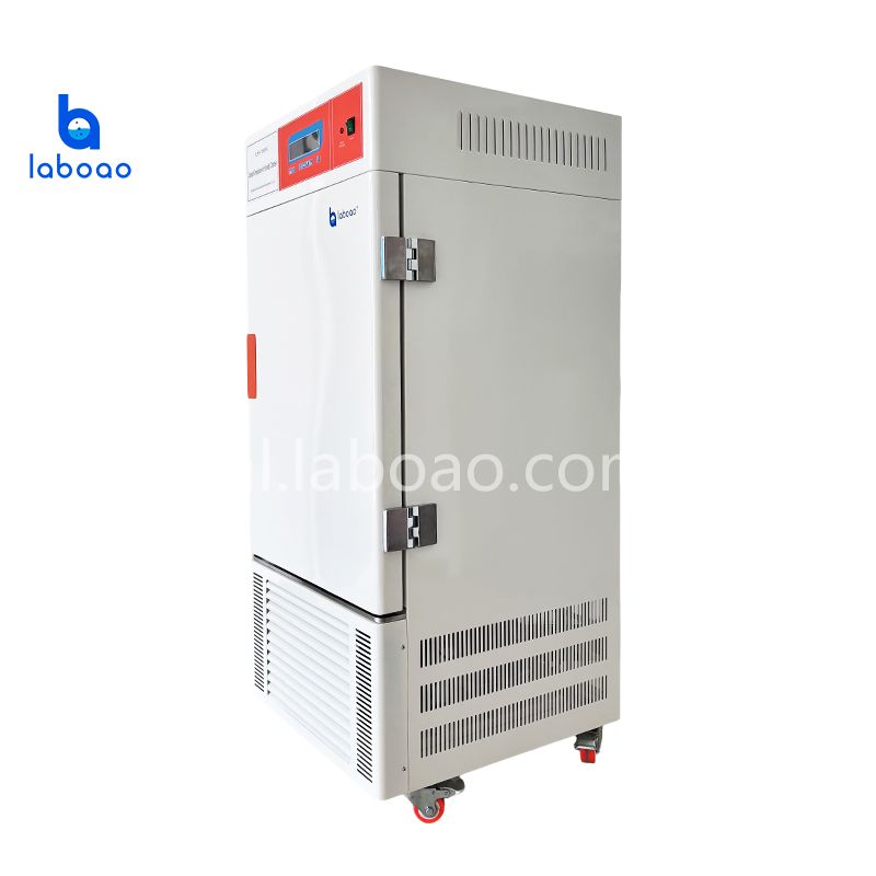 Evenwichtige kamer met constante temperatuur en vochtigheid