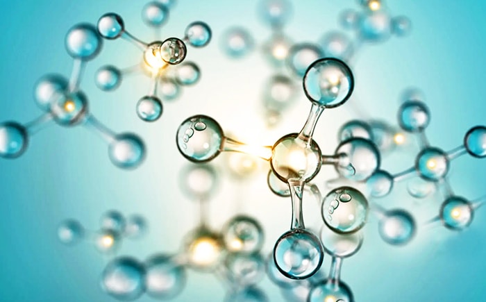 Moleculaire biologie en genomica